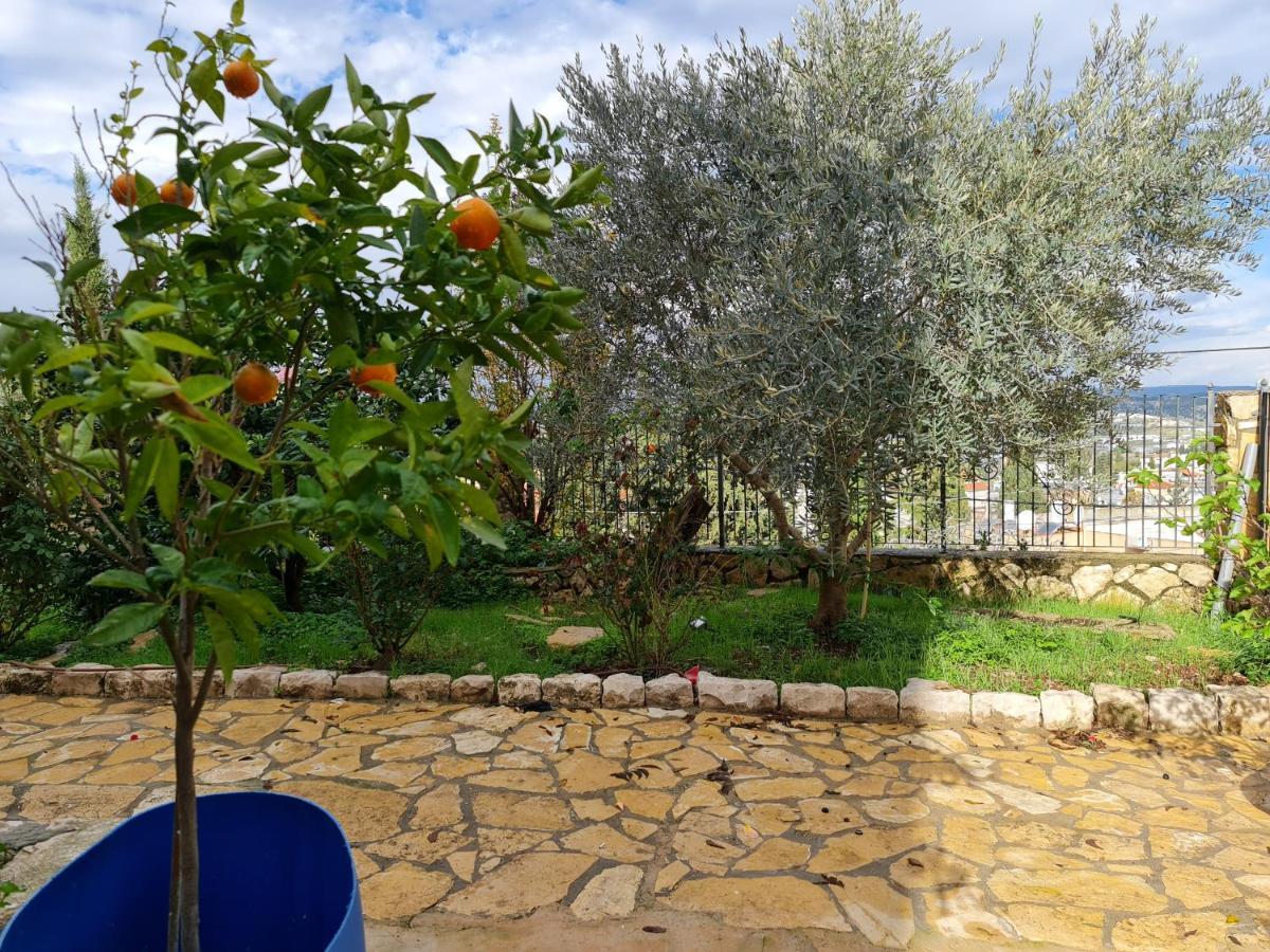 דירה Sama Tarshiha